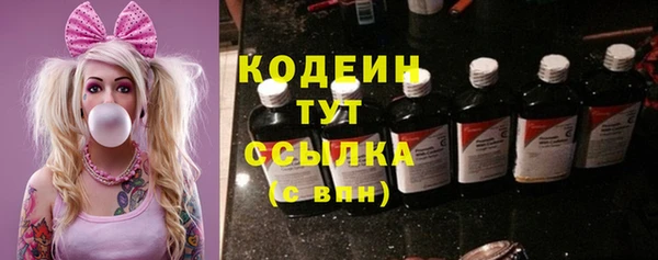 крисы Няндома