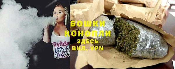 крисы Няндома