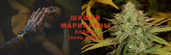крисы Няндома