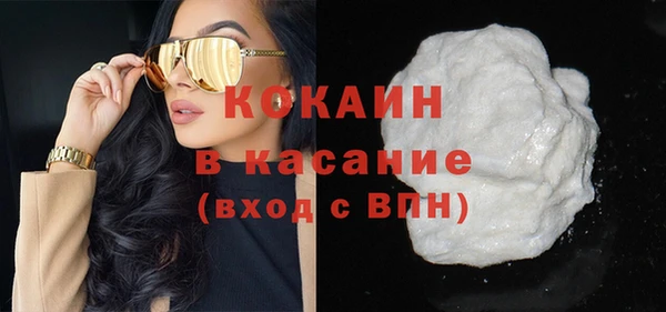 крисы Няндома