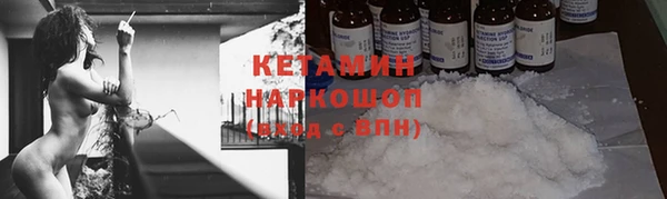 крисы Няндома