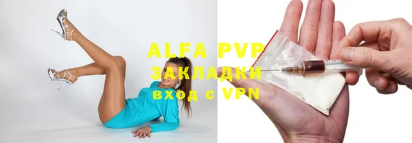 крисы Няндома