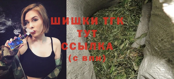 крисы Няндома