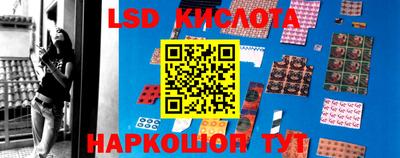 спиды Камышлов