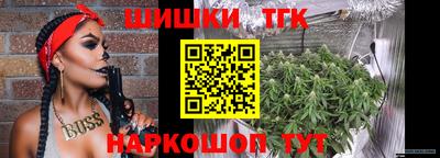 спиды Камышлов