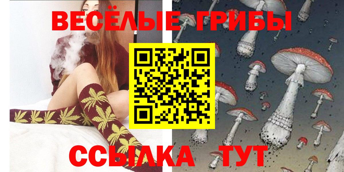 Галлюциногенные грибы Cubensis  Вход с VPN  Энгельс 